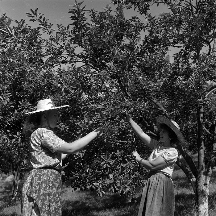 minerva_Agrar_c1_c6r3_003