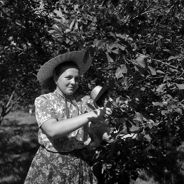 minerva_Agrar_c1_c6r3_004