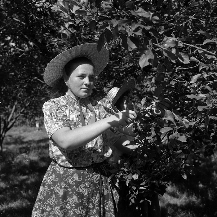 minerva_Agrar_c1_c6r3_005