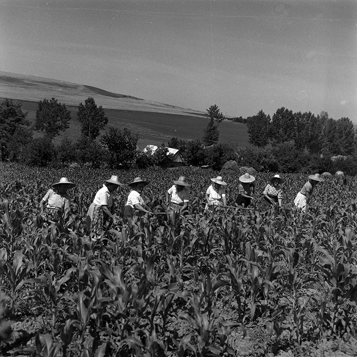 minerva_Agrar_c1_c6r3_009