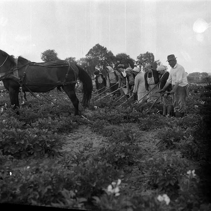 minerva_Agrar_c1_c6r3_013