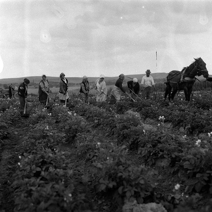 minerva_Agrar_c1_c6r3_014