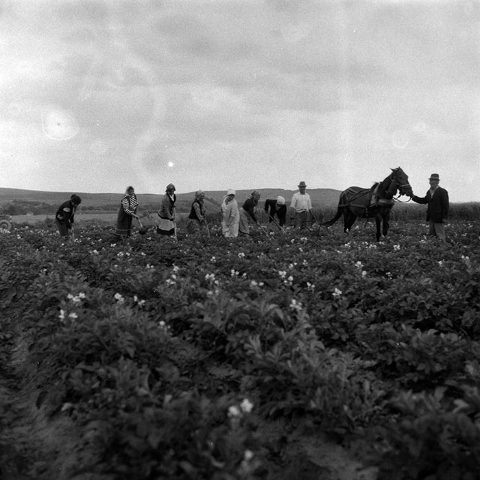 minerva_Agrar_c1_c6r3_016