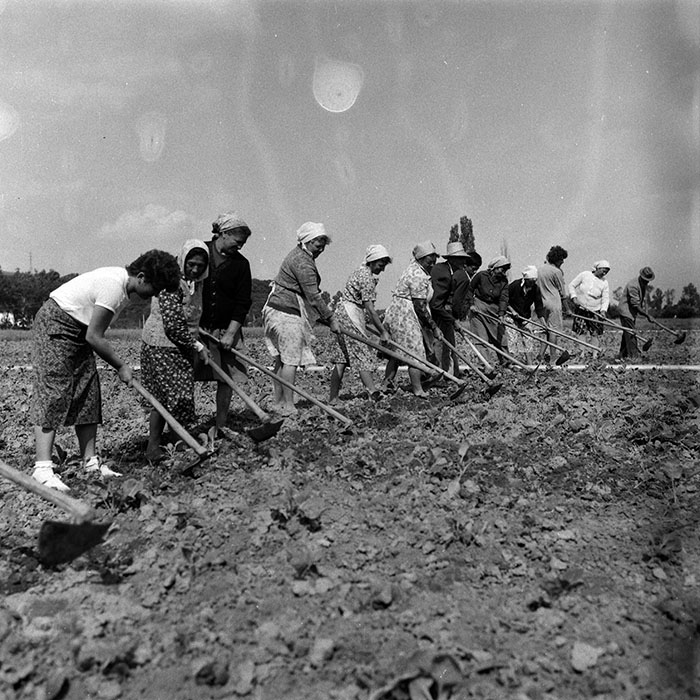 minerva_Agrar_c1_c6r3_021