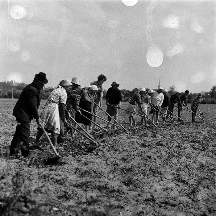 minerva_Agrar_c1_c6r3_023