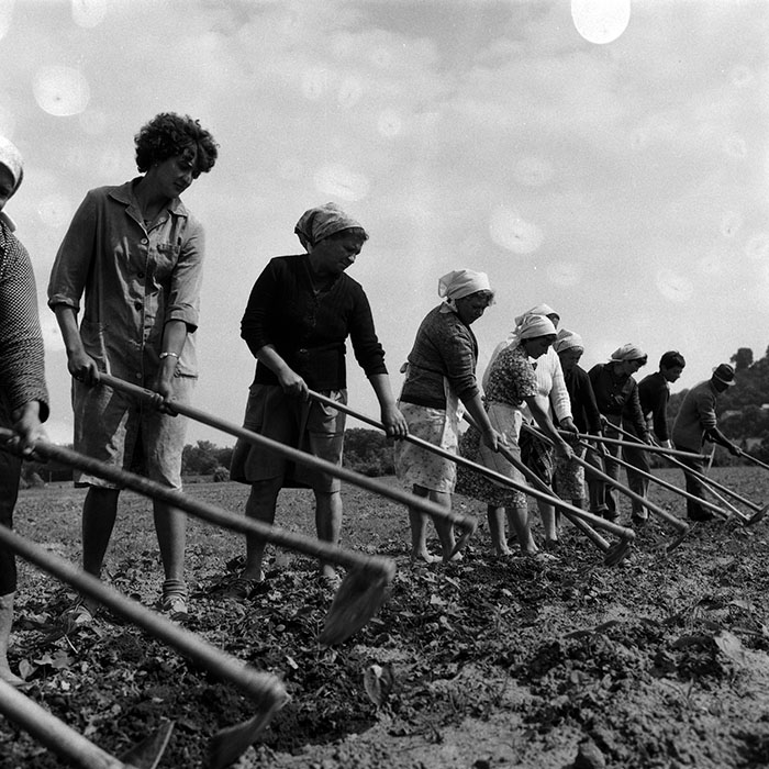 minerva_Agrar_c1_c6r3_024