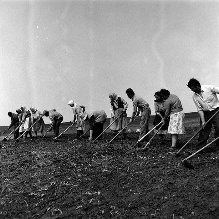 minerva_Agrar_c1_c6r3_026