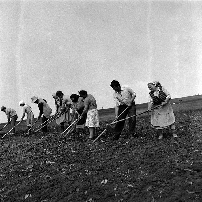 minerva_Agrar_c1_c6r3_027