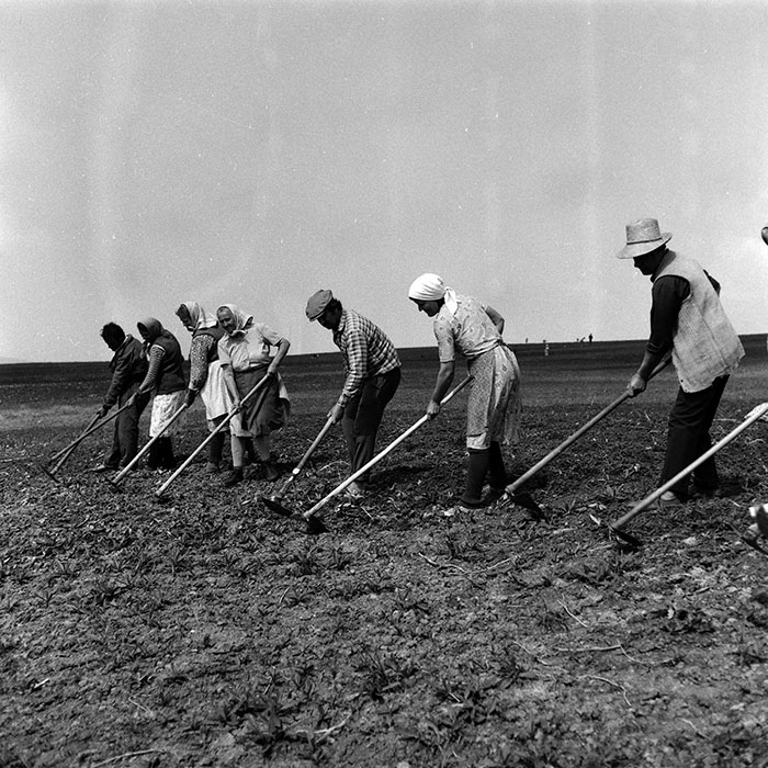 minerva_Agrar_c1_c6r3_029