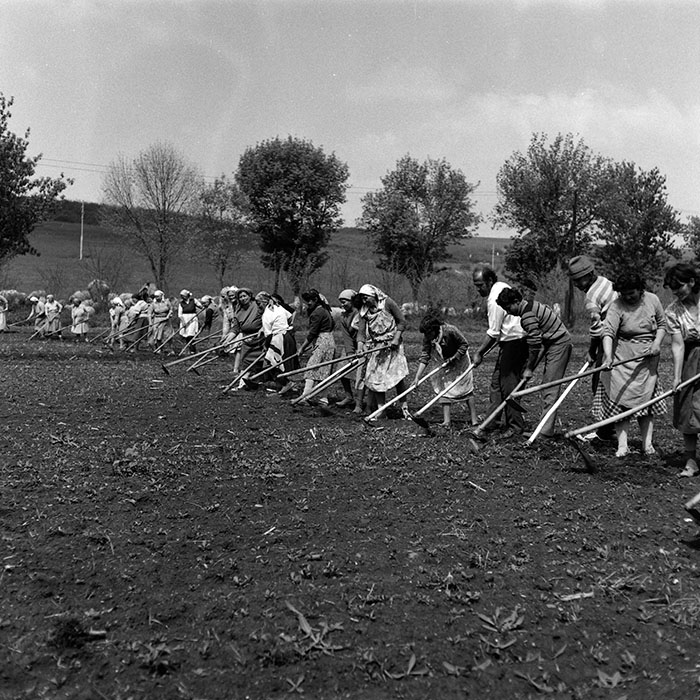 minerva_Agrar_c1_c6r3_035