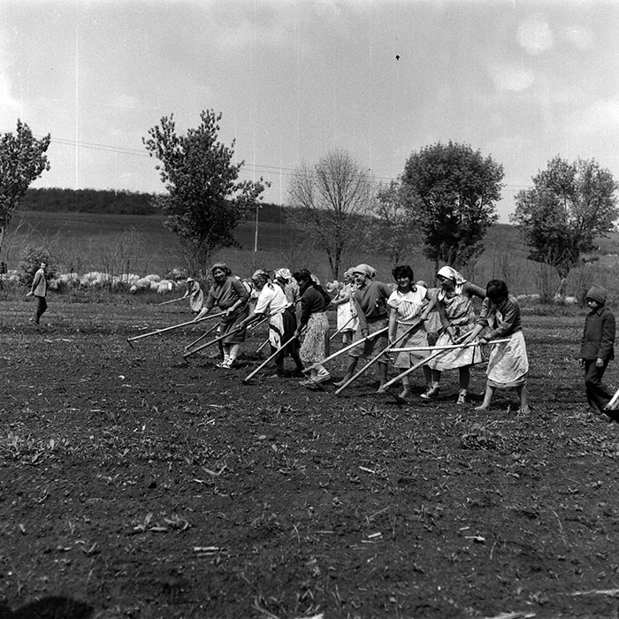 minerva_Agrar_c1_c6r3_036