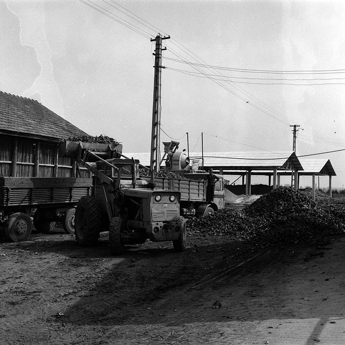 minerva_Agrar_c1_c6r4_002