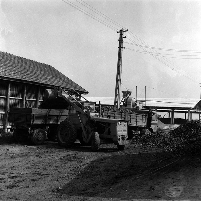 minerva_Agrar_c1_c6r4_003