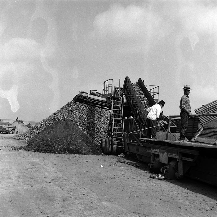 minerva_Agrar_c1_c6r4_007