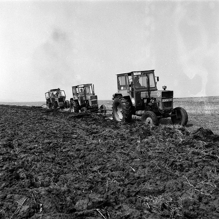 minerva_Agrar_c1_c6r4_010