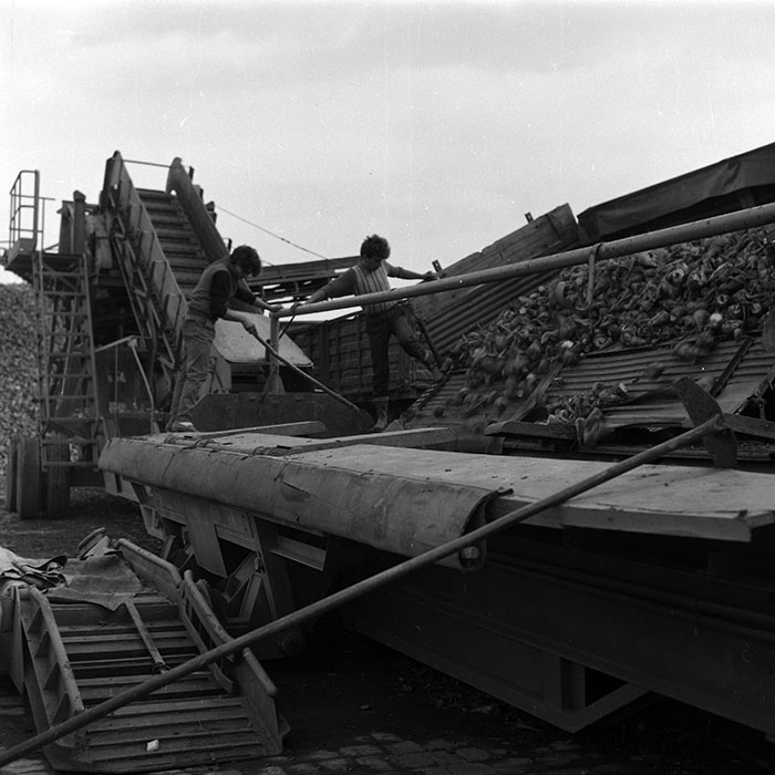 minerva_Agrar_c1_c6r4_014