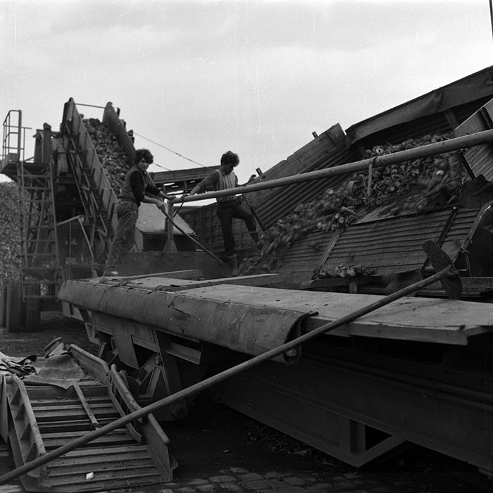 minerva_Agrar_c1_c6r4_015