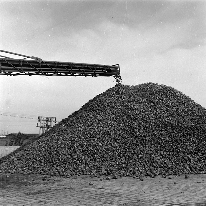 minerva_Agrar_c1_c6r4_016