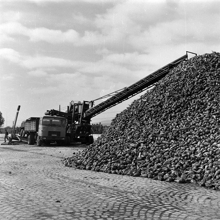 minerva_Agrar_c1_c6r4_017