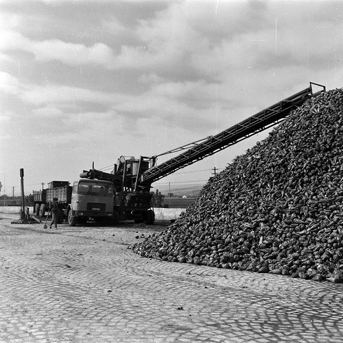 minerva_Agrar_c1_c6r4_018