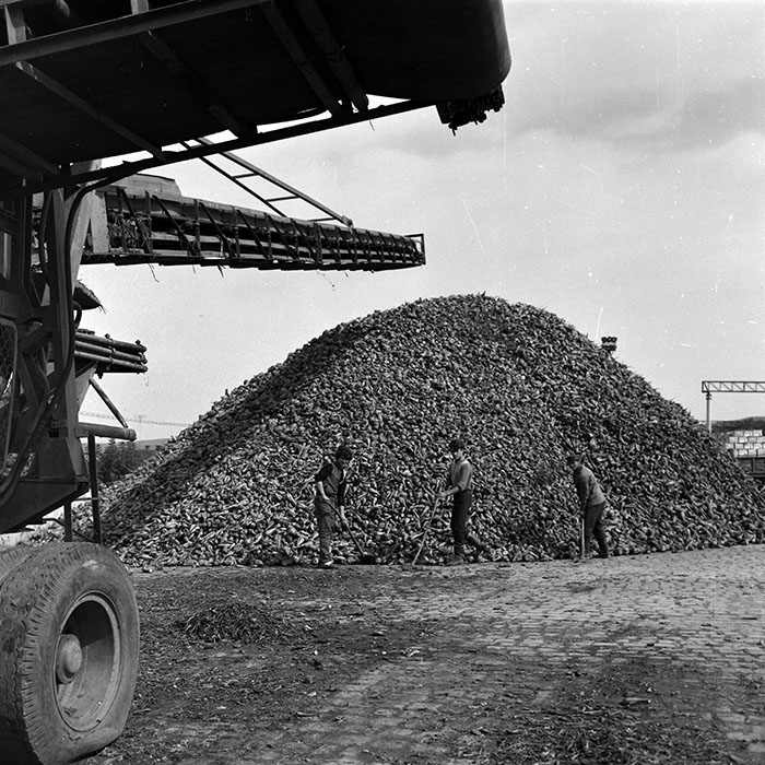 minerva_Agrar_c1_c6r4_019