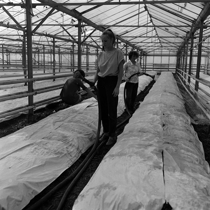 minerva_Agrar_c1_c6r4_021