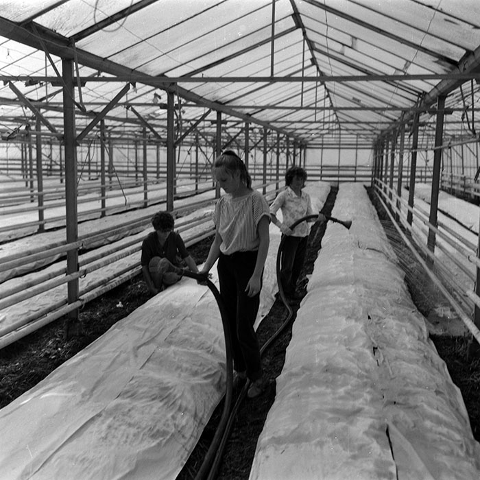 minerva_Agrar_c1_c6r4_022