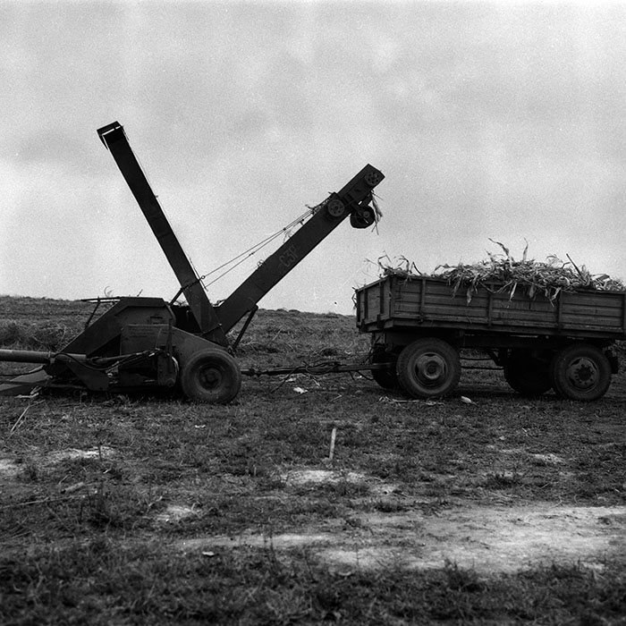 minerva_Agrar_c1_c6r4_023