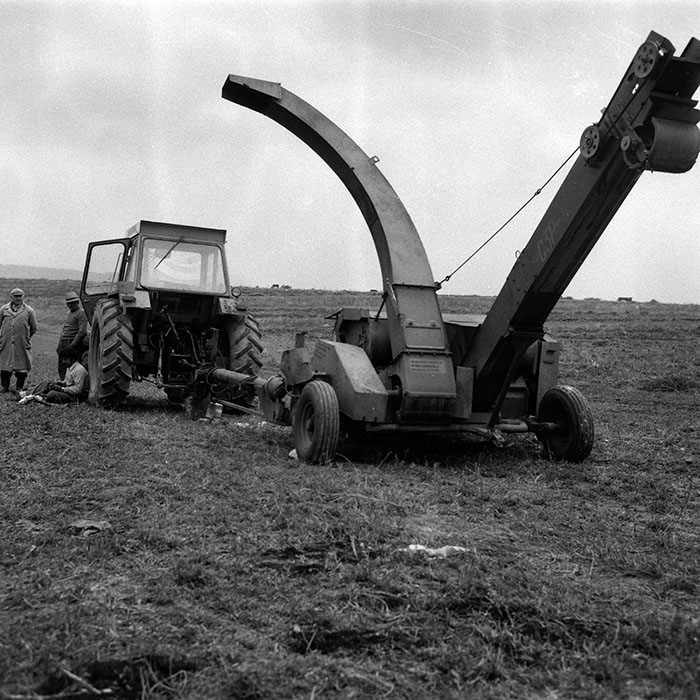 minerva_Agrar_c1_c6r4_024