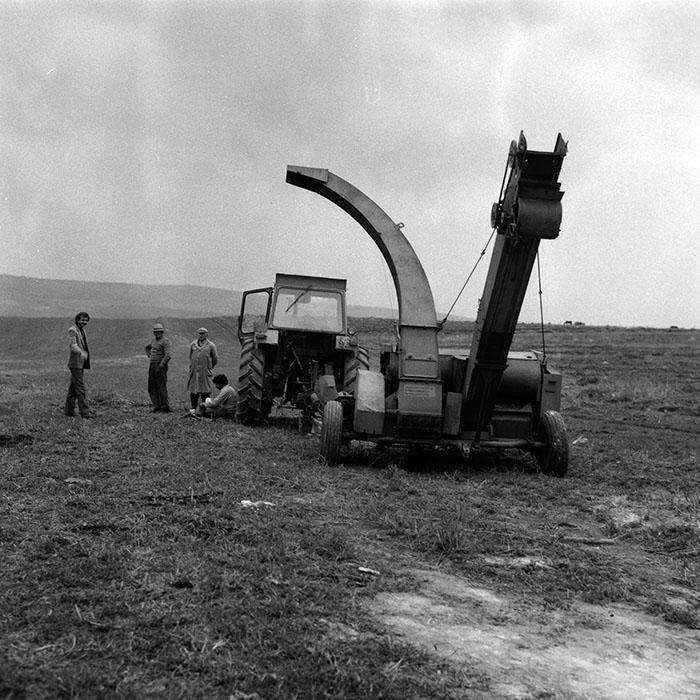 minerva_Agrar_c1_c6r4_025