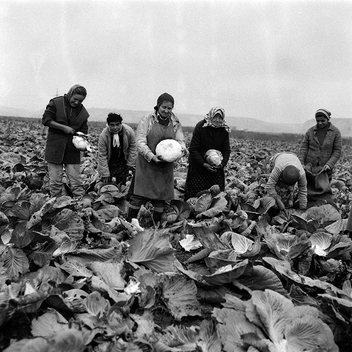 minerva_Agrar_c1_c6r4_026