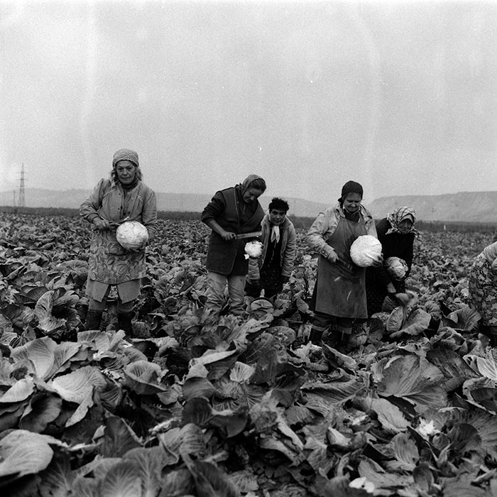 minerva_Agrar_c1_c6r4_027