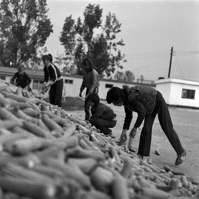 minerva_Agrar_c1_c6r5_002