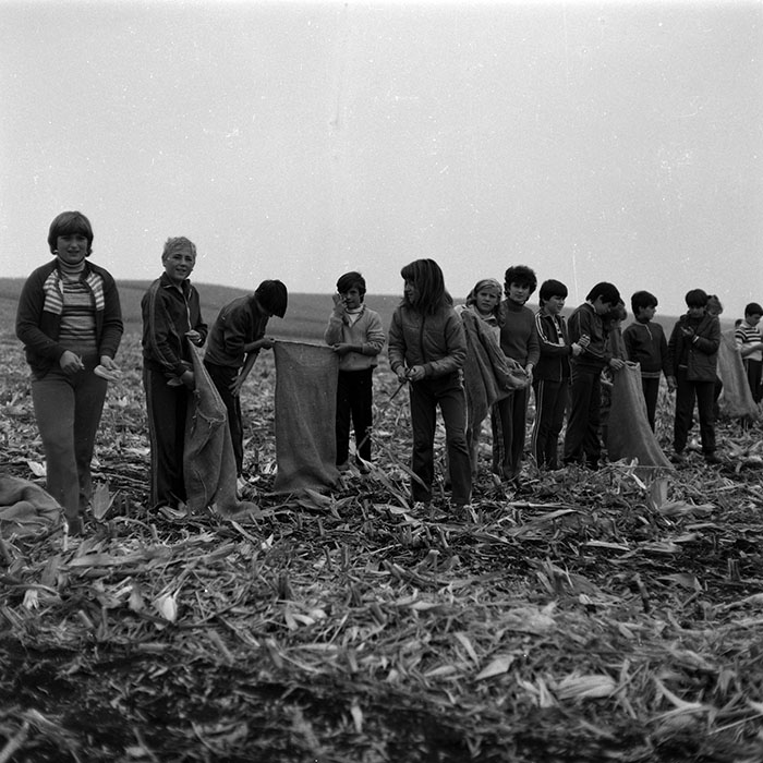 minerva_Agrar_c1_c6r5_003