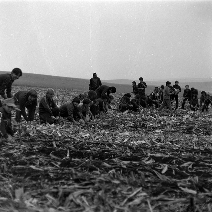 minerva_Agrar_c1_c6r5_004