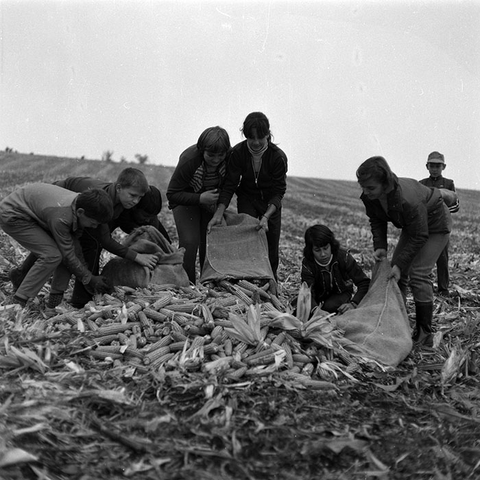 minerva_Agrar_c1_c6r5_006