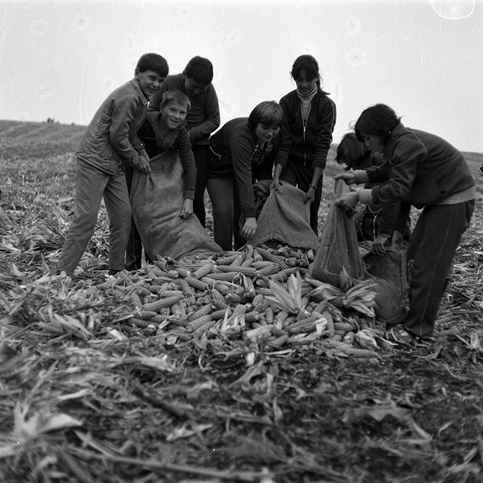 minerva_Agrar_c1_c6r5_007