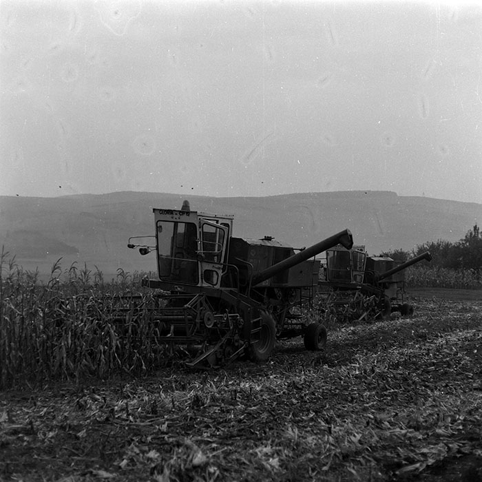 minerva_Agrar_c1_c6r5_008