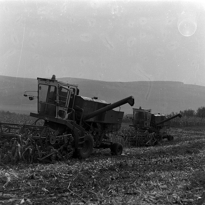 minerva_Agrar_c1_c6r5_009