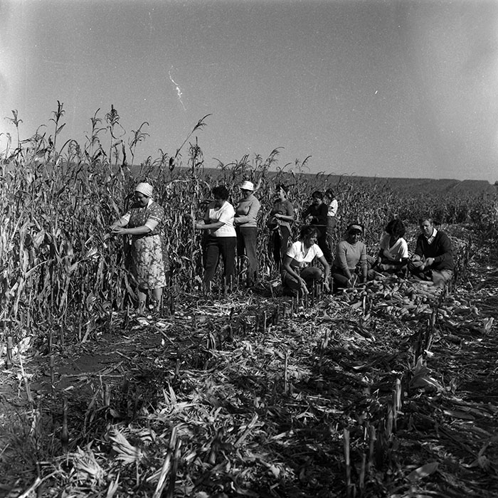 minerva_Agrar_c1_c6r5_012