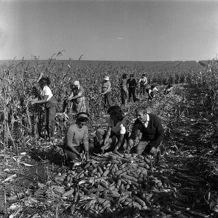 minerva_Agrar_c1_c6r5_013