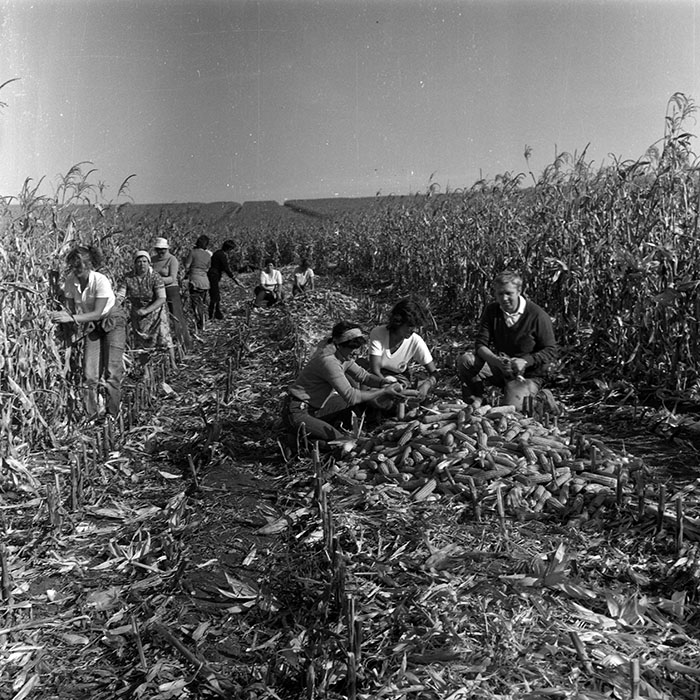 minerva_Agrar_c1_c6r5_014