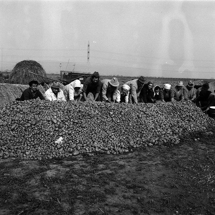 minerva_Agrar_c1_c6r5_015