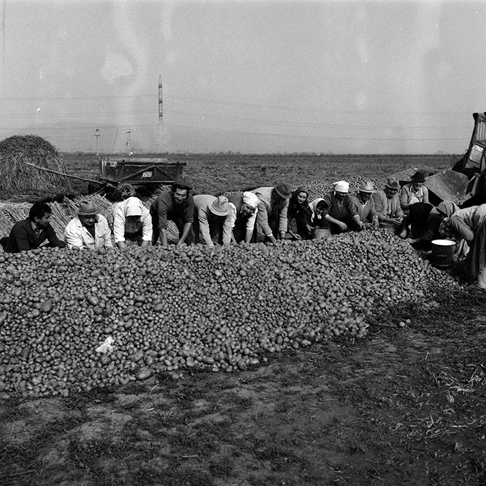 minerva_Agrar_c1_c6r5_016