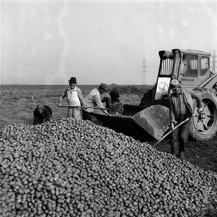 minerva_Agrar_c1_c6r5_017