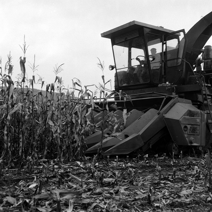 minerva_Agrar_c1_c6r5_026