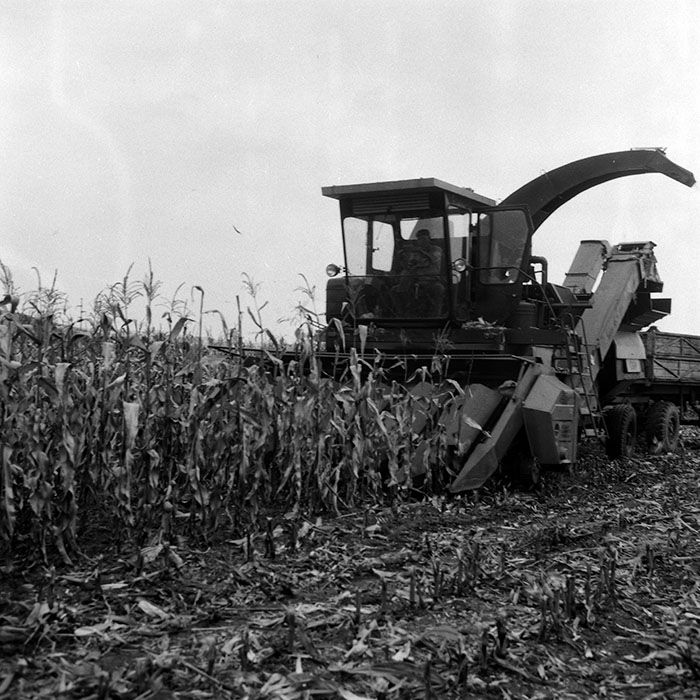 minerva_Agrar_c1_c6r5_028