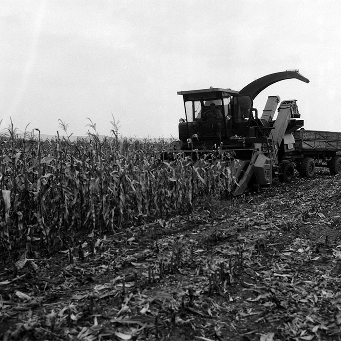 minerva_Agrar_c1_c6r5_029