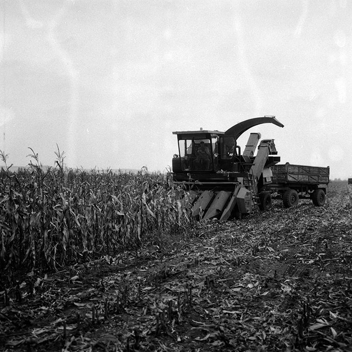 minerva_Agrar_c1_c6r5_030