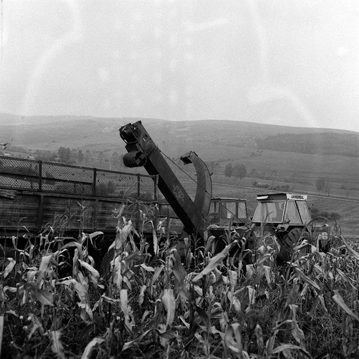 minerva_Agrar_c1_c6r5_031